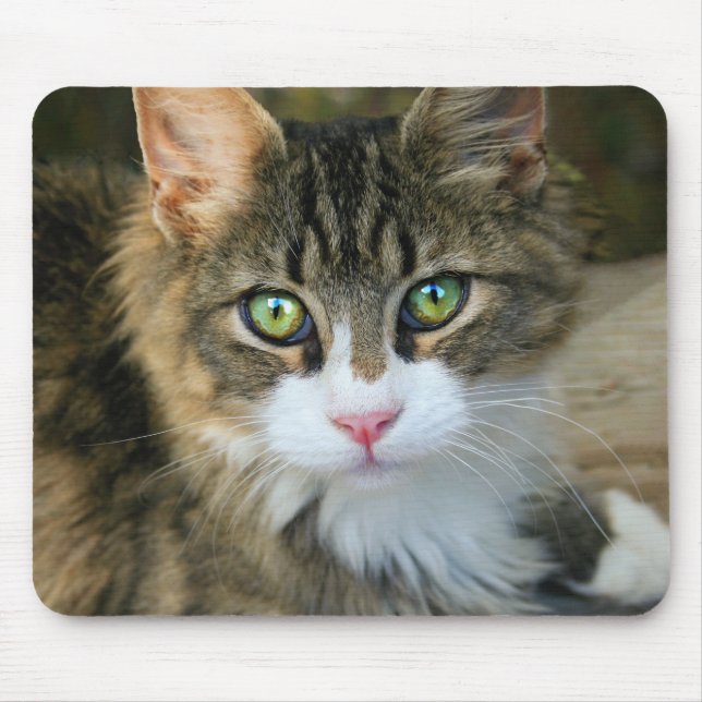 Katze mit grünen Augen Mousepad (Vorne)