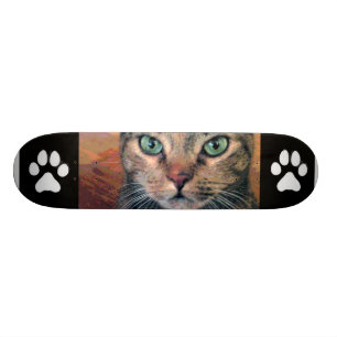 Katze mit grünen Augen Skateboard