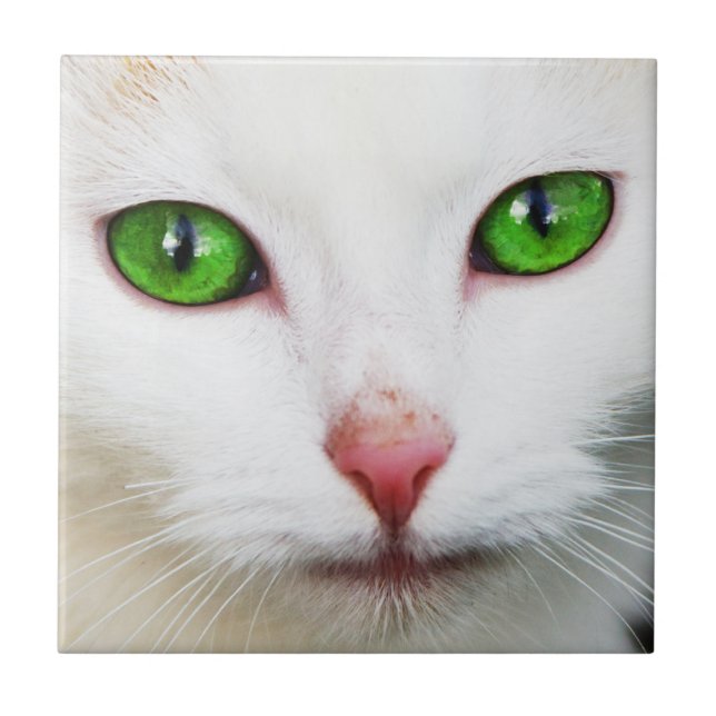Katze mit grünen Augen-Tile Fliese (Vorderseite)