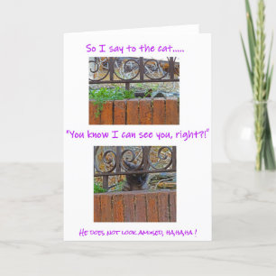 Katze mit Höhenkarte Karte