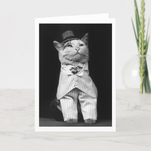 Katze mit Hut, 1906 Karte