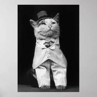 Katze mit Hut, 1906 Poster