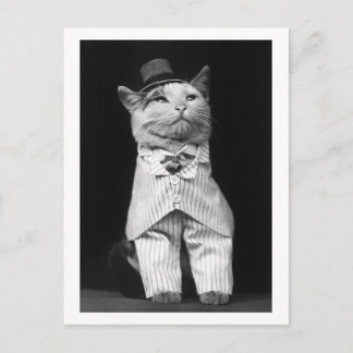 Katze mit Hut, 1906 Postkarte