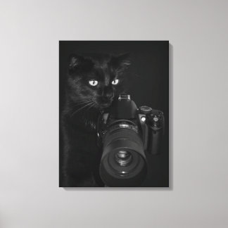 Katze mit Kamera Leinwanddruck