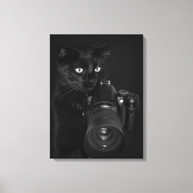 Katze mit Kamera Leinwanddruck (Vorderseite)