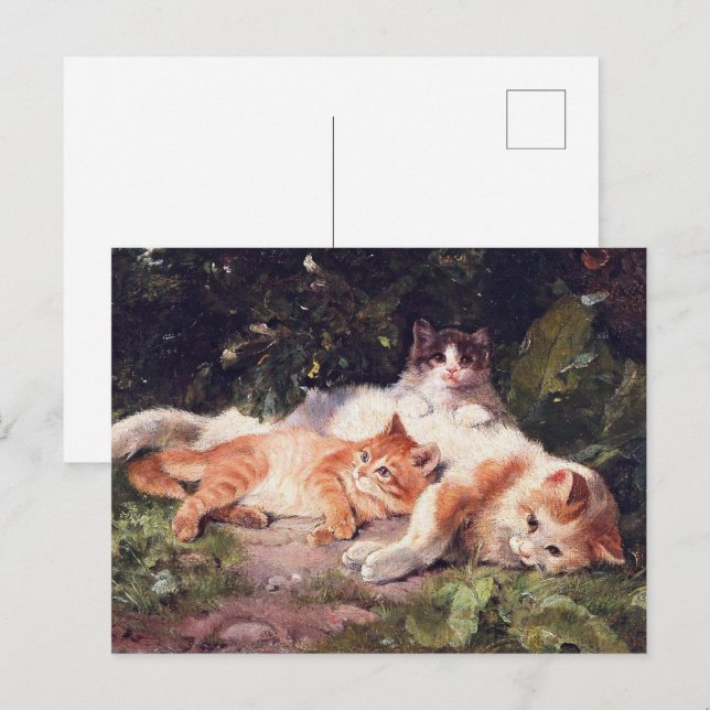 Katze mit Kittens Fine Art Postkarte (Vorne/Hinten)