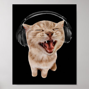Katze mit Kopfhörer Meme Poster