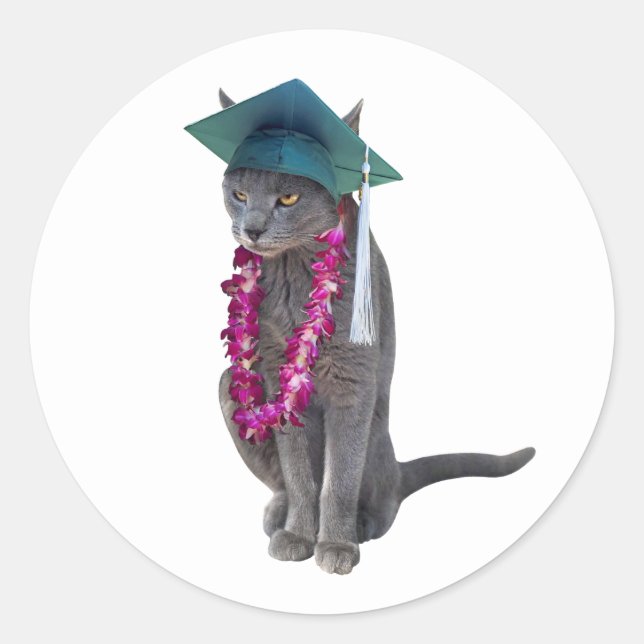 Katze mit Lei-Abschluss-Aufkleber Runder Aufkleber (Vorderseite)