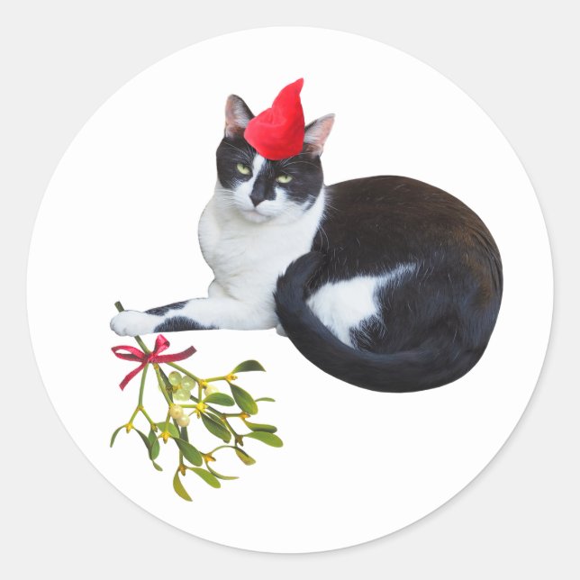 Katze mit Mistletoe-Aufklebern Runder Aufkleber (Vorderseite)