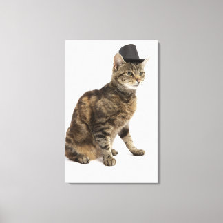Katze mit Oberhut Leinwanddruck