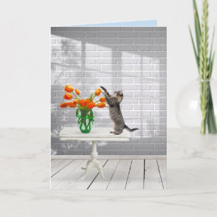 Katze mit Orange Tulips wird gut Karte