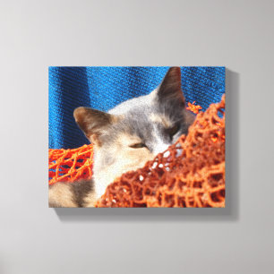 Katze mit orangefarbenem Netz Leinwanddruck