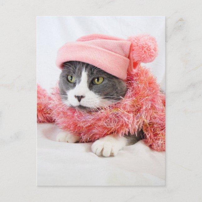 Katze mit Pink Hat Postcard Postkarte (Vorderseite)