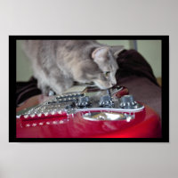 Katze mit Red Electric Gitarre
