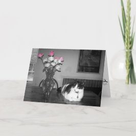 Katze mit rosa Rosen Geburtstagskarte Karte