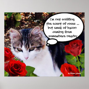 KATZE MIT ROTEN ROSEN POSTER