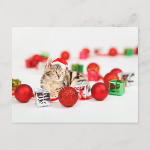 Katze mit roter Weihnachtsmannmütze Weihnachtsbaum Feiertagspostkarte