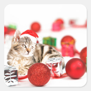 Katze mit roter Weihnachtsmannmütze Weihnachtsbaum Quadratischer Aufkleber