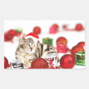 Katze mit roter Weihnachtsmannmütze Weihnachtsbaum Rechteckiger Aufkleber