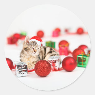 Katze mit roter Weihnachtsmannmütze Weihnachtsbaum Runder Aufkleber