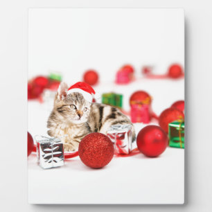 Katze mit roter Weihnachtsmannmütze Weihnachtsschm Fotoplatte