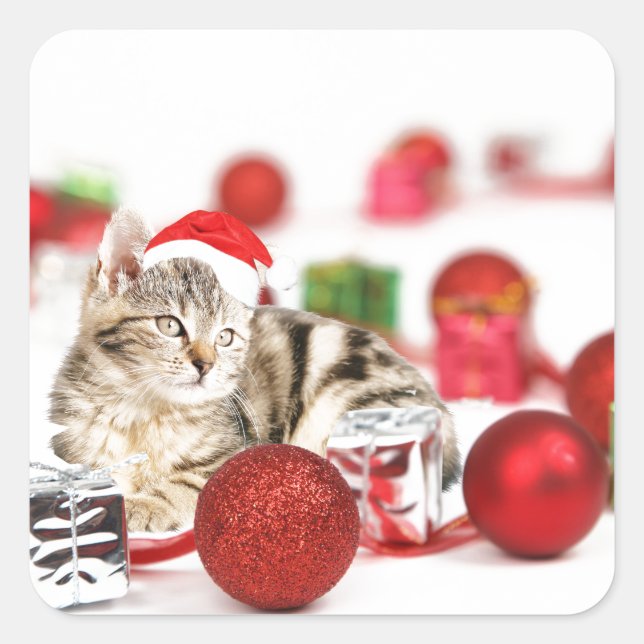Katze mit roter Weihnachtsmannmütze Weihnachtsschm Quadratischer Aufkleber (Vorderseite)