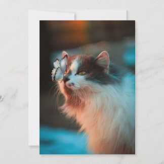 Katze mit Schmetterling auf der Nase Feiertagskarte