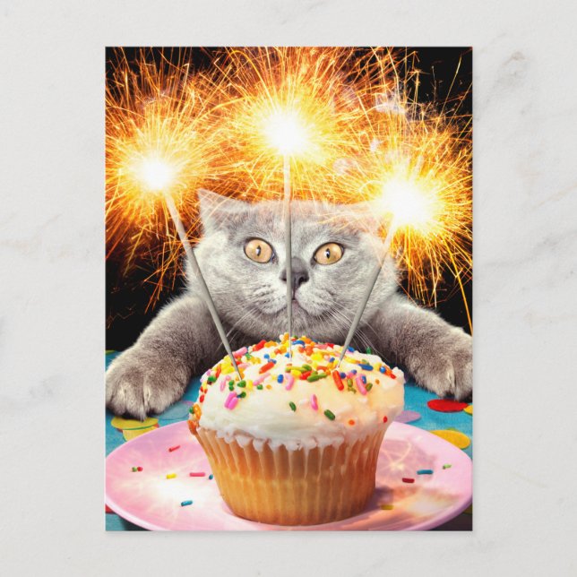 Katze mit Sparklerkuchen Einladungspostkarte (Vorderseite)
