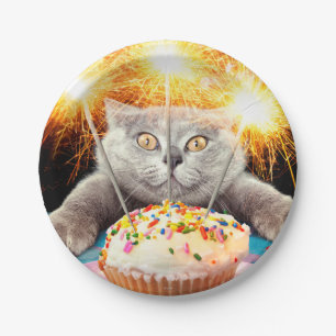 Katze mit Sparklerkuchen Pappteller