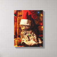 Katze mit Strumpf auf Kopf