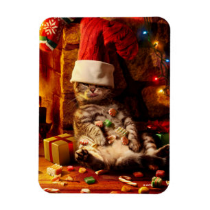 Katze mit Strumpf auf Kopf Magnet