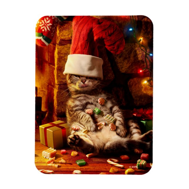 Katze mit Strumpf auf Kopf Magnet (Vertikal)