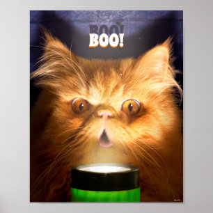 Katze mit Taschenlampe Poster