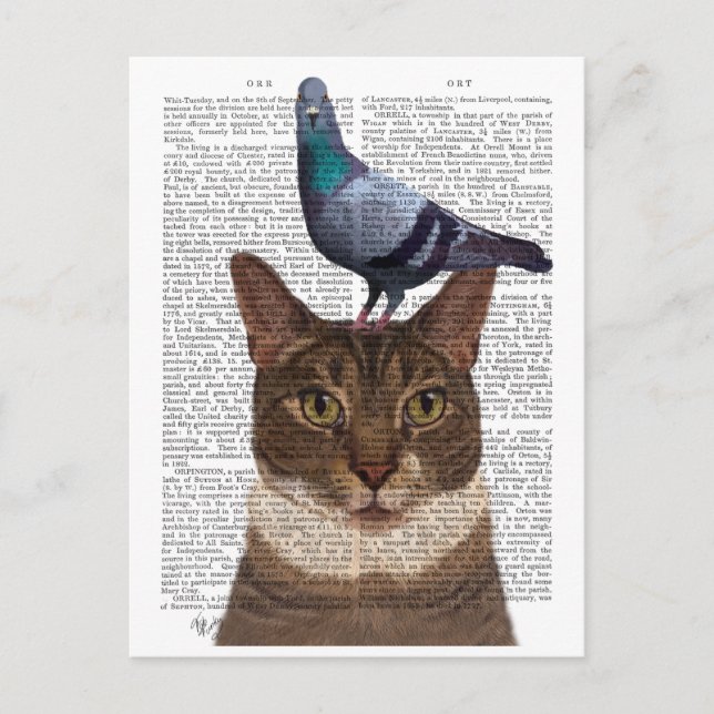 Katze mit Taube auf Kopf Postkarte (Vorderseite)