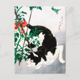 Katze mit Tomato-Pflanze - Hiroaki Takahashi - Kat Postkarte