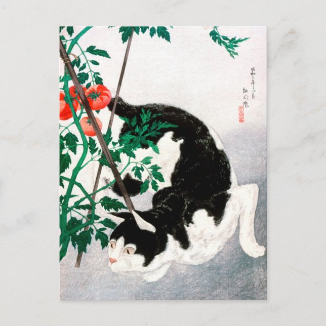 Katze mit Tomato-Pflanze - Hiroaki Takahashi - Kat Postkarte (Vorderseite)