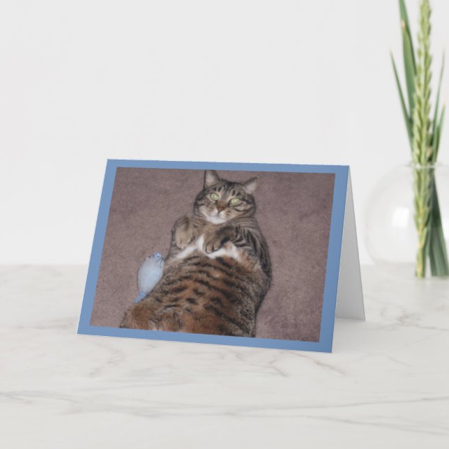 Katze mit Tube Geburtstagkarte Karte (Vorderseite)