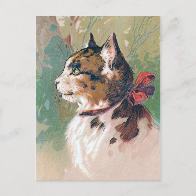 Katze mit Vintager Aufschrift "Red Ribbon" Postkarte (Vorderseite)