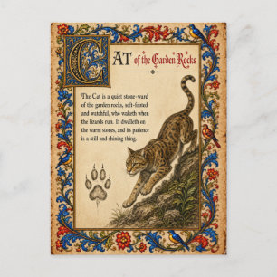 Katze, mittelalterliche Bestiarien-Kunst Postkarte