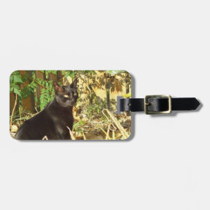 Katze Morgen-im personalisierten Gepäck-Umbau Gepäckanhänger