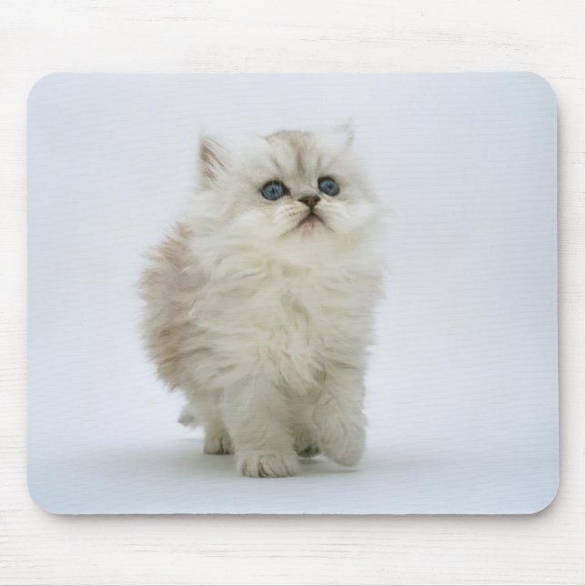 Katze Mousepad (Vorne)