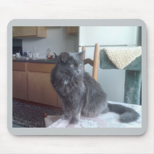 Katze Mousepad (Vorne)