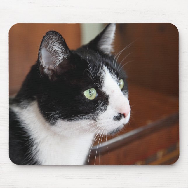 Katze Mousepad (Vorne)