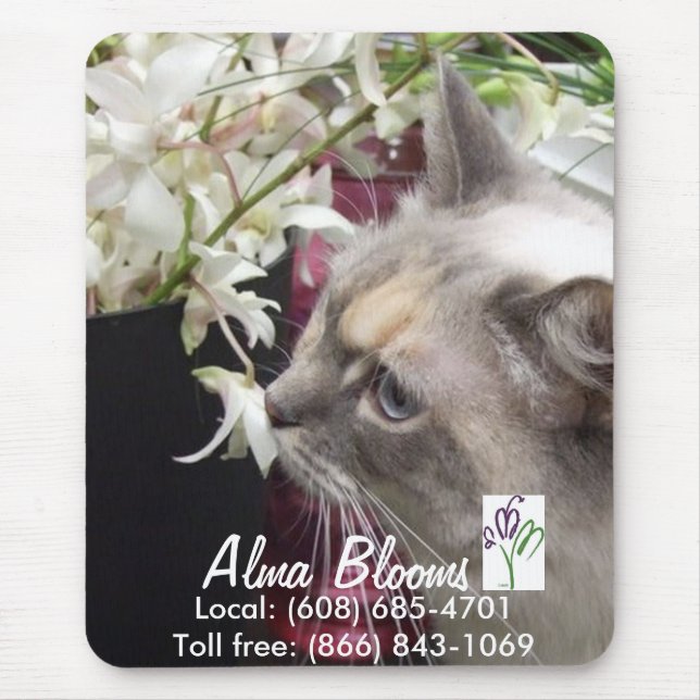 Katze Mousepad (Vorne)
