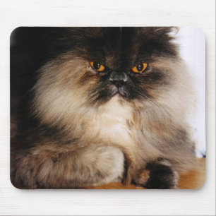 Katze Mousepad