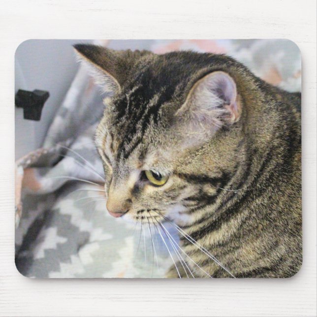 Katze Mousepad (Vorne)