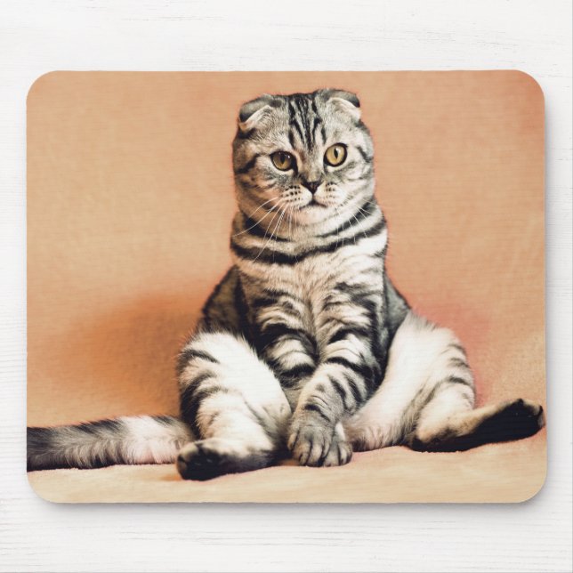 Katze Mousepad (Vorne)
