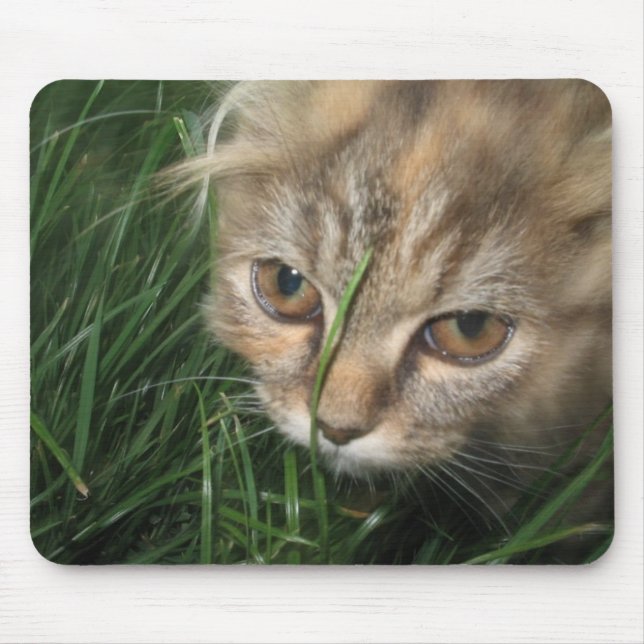 Katze Mousepad (Vorne)