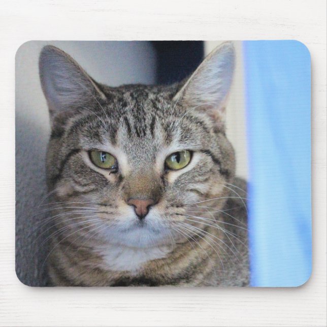 Katze Mousepad (Vorne)