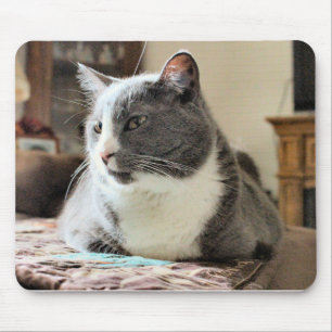 Katze Mousepad